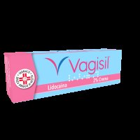 VAGISIL*crema derm 20 g 2% VAGISIL*crema derm 20 g 2%