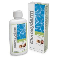 CLOREXYDERM SHAMPOO 250 ML CLOREXYDERM SHAMPOO 250 ML