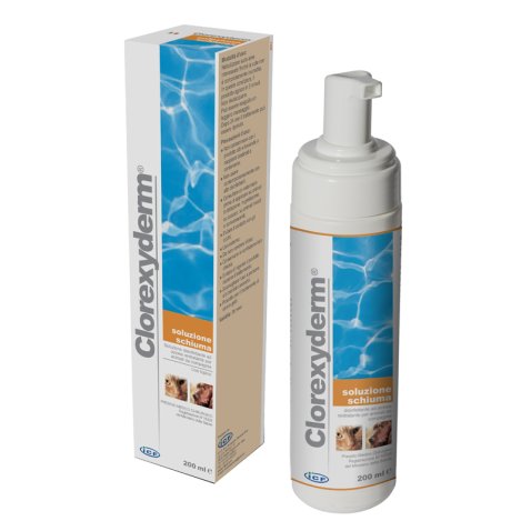CLOREXYDERM SOLUZIONE SCHIUMA 200 ML CLOREXYDERM SOLUZIONE SCHIUMA 200 ML