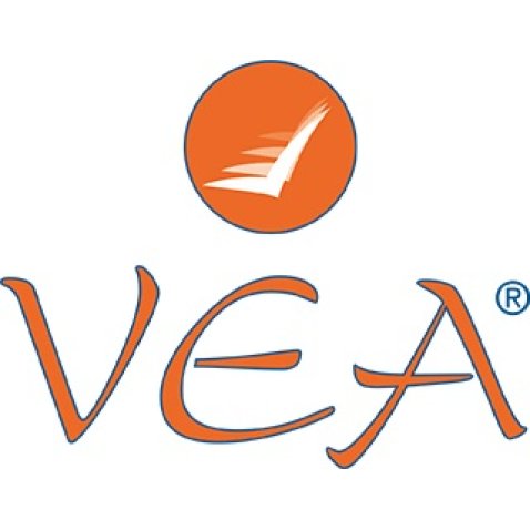 VEA DEO-LIPOGEL DEODORANTE 30 ML