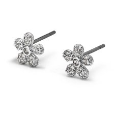 VERAME' ORECCHINI ROBERTA ARGENTO