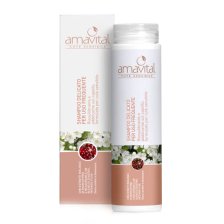 AMAVITAL SHAMPOO DELICATO USO FREQUENTE 200 ML AMAVITAL SHAMPOO DELICATO USO FREQUENTE 200 ML