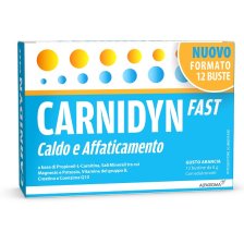CARNIDYN FAST 12 BUSTINE CARNIDYN FAST 12 BUSTINE