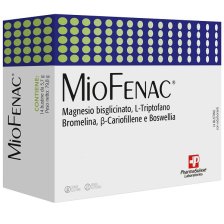 MIOFENAC 14 BUSTINE MIOFENAC 14 BUSTINE