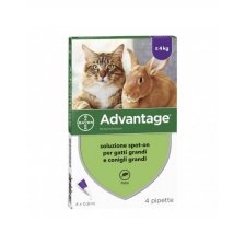 ADVANTAGE*spot-on soluz 4 pipette 0,8 ml 80 mg gatti e conigli grandi