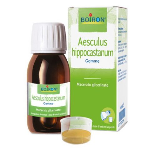 AESCULUS HIP MG 60ML INT