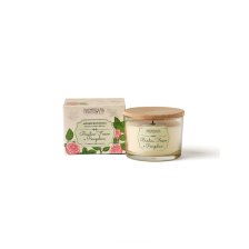 CANDELA 140 G FOGLIE BASILICO POMPELMO