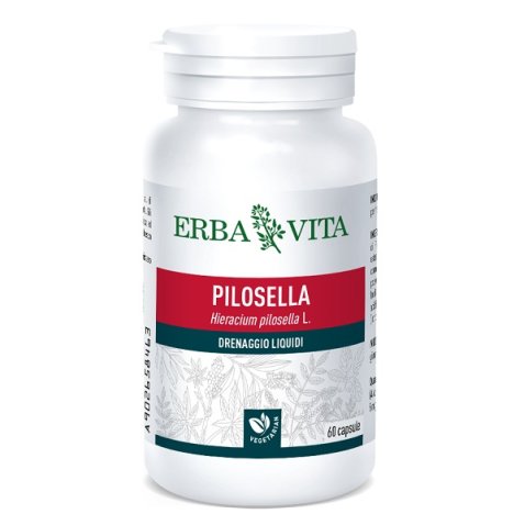 PILOSELLA 60 CAPSULE 400 MG