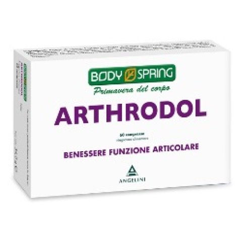 BODY SPRING ARTHRODOL 60 COMPRESSE