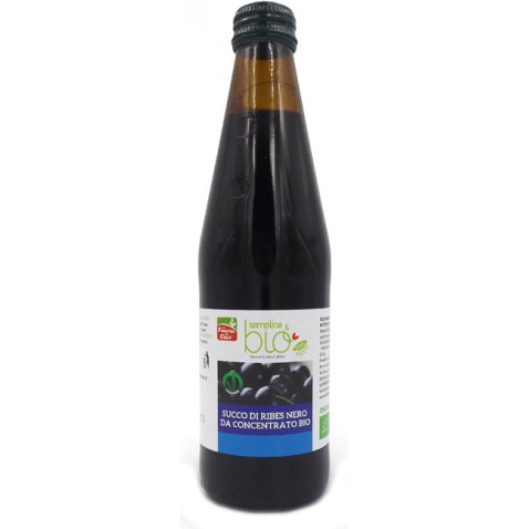 SUCCO RIBES NERO BIO 330ML