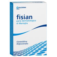 FISIAN*PANE DERMATOL 100G