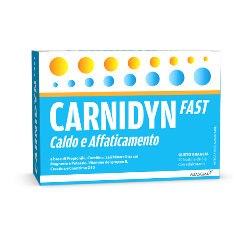 CARNIDYN FAST 20 BUSTINE