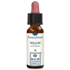 WILLOW ORIGINAL 10ML GTT