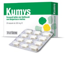 KUMYS FERMENTI LATTICI 20OPR