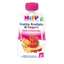 HIPP BIO FRUTTA FRULLATA YOGURT MELA FRUTTI ROSSI 90 G