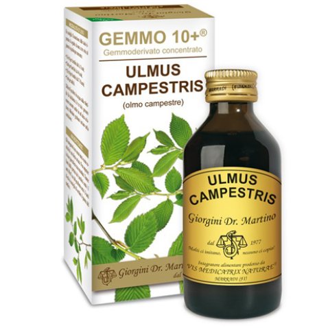 OLMO CAMP 100ML ANALCO GEM 10+
