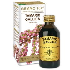 TAMERICE 100ML ANALCO GEMMO10+