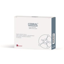 CEBRAL 14 BUSTINE