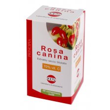 ROSA CANINA 70% VIT C 60CPR