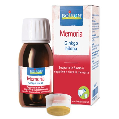 GINKGO BILOBA EI 60ML