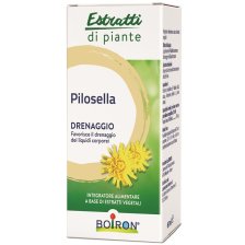 PILOSELLA INT GTT 60ML
