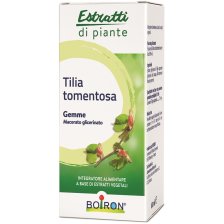 TILIA TOMENTOSA MACERATO GLICERICO 60 ML INT