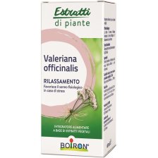 VALERIANA OFF EI 60ML INT