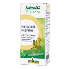 HAMAMELIS VIR EI 60ML INT
