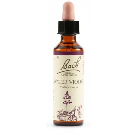 WATER VIOL BACH ORIG 20ML