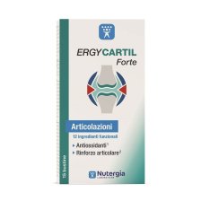 ERGYCARTIL FORTE 15BUSTE 4,4GR