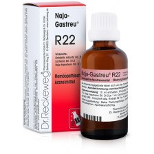 RECKEWEG R22 GOCCE 22ML