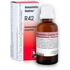 RECKEWEG R42 GOCCE 22 ML