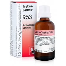 RECKEWEG R53 GOCCE 22 ML