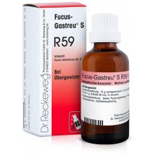 RECKEWEG R59 GOCCE 22ML