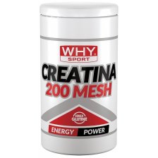 WHYSPORT CREATINA 200 MESH500G