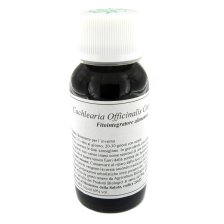 LVS 11N COCHLEARIA OFF COMP